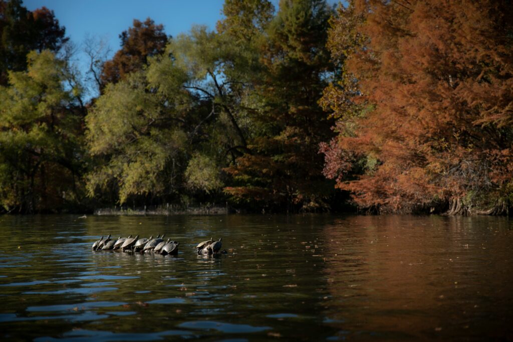 Nova Recovery Center - Austin, Texas