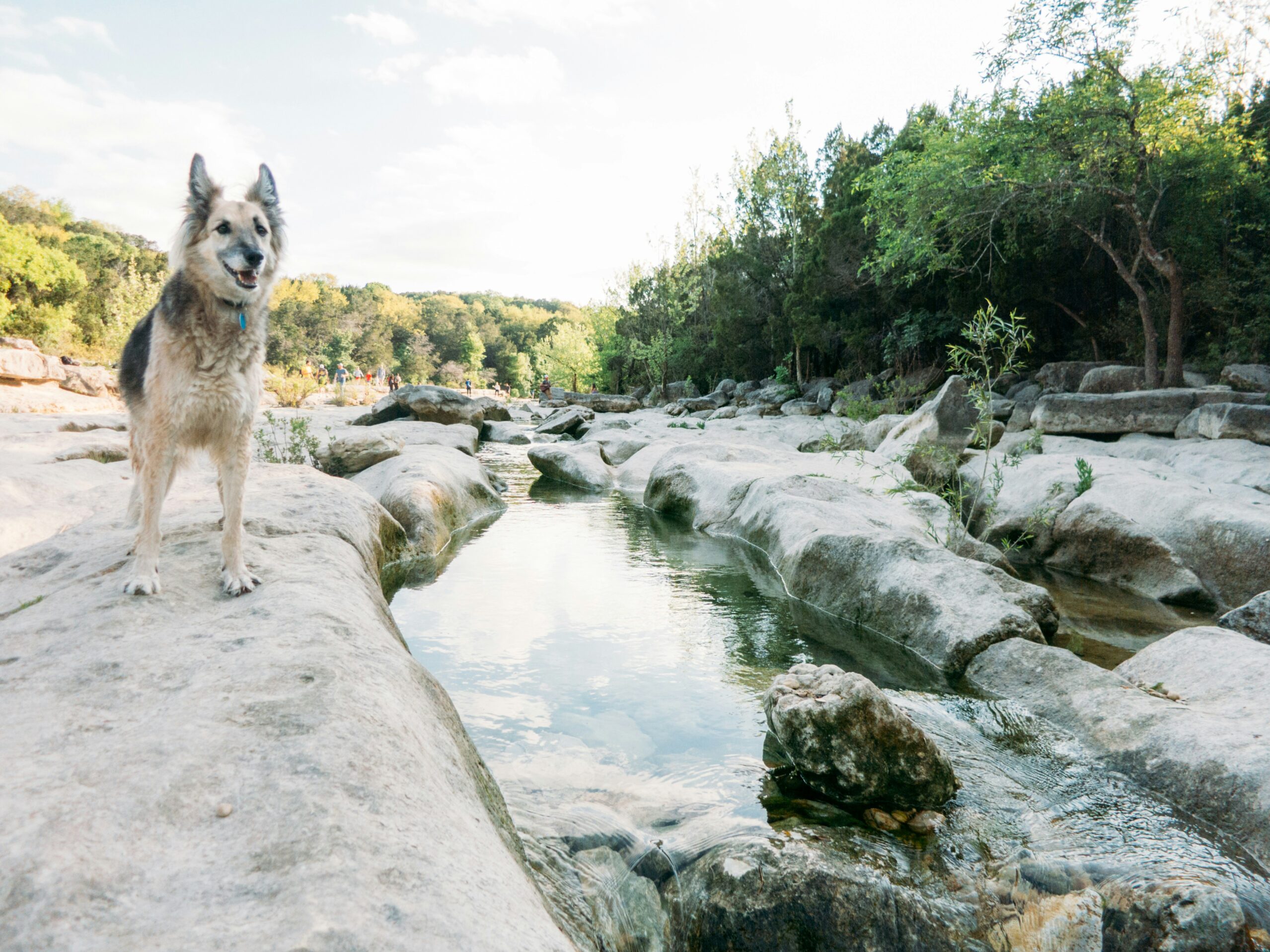 Nova Recovery Center - Austin, Texas